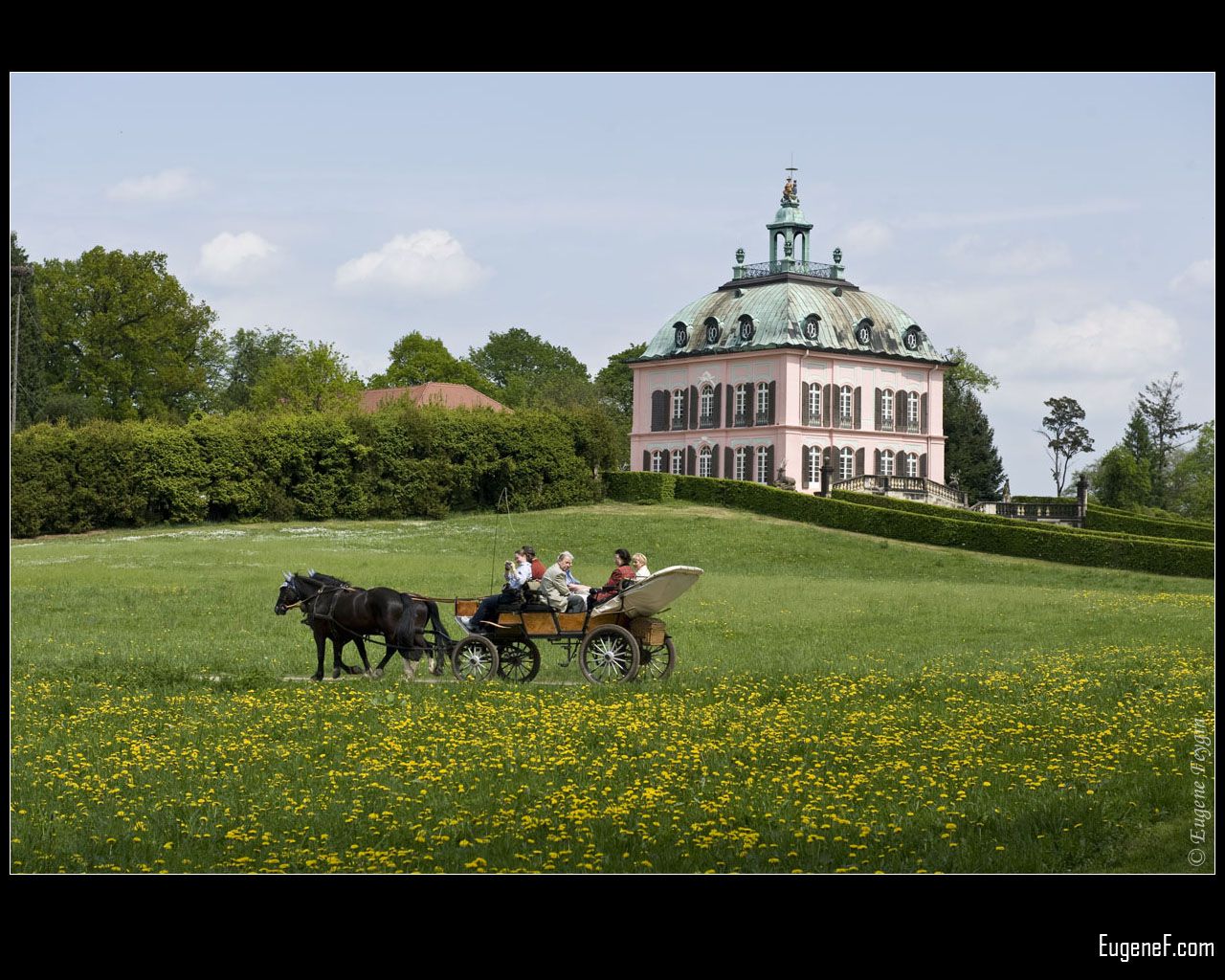 Carriage and Pink Castle