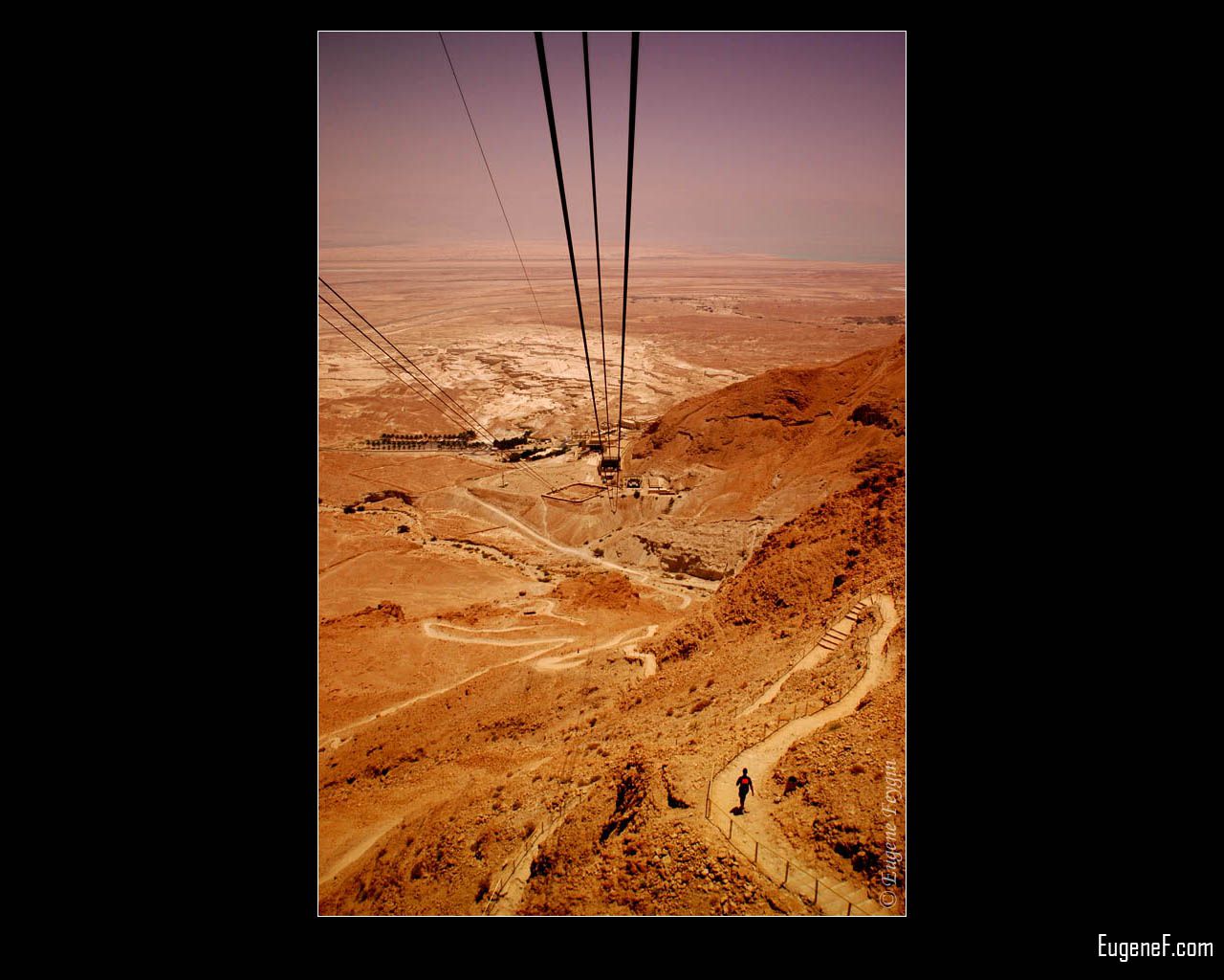 Israeli Desert