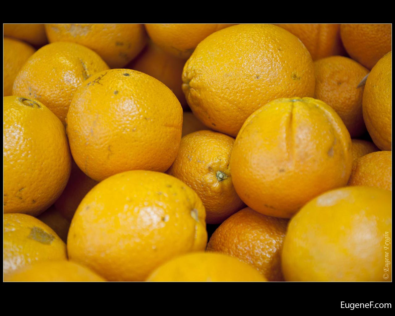Bright Orange Fruit