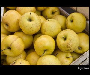 Organic Yellow Apples