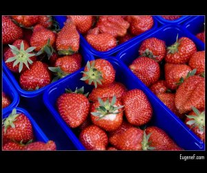 Strawberries In Carton