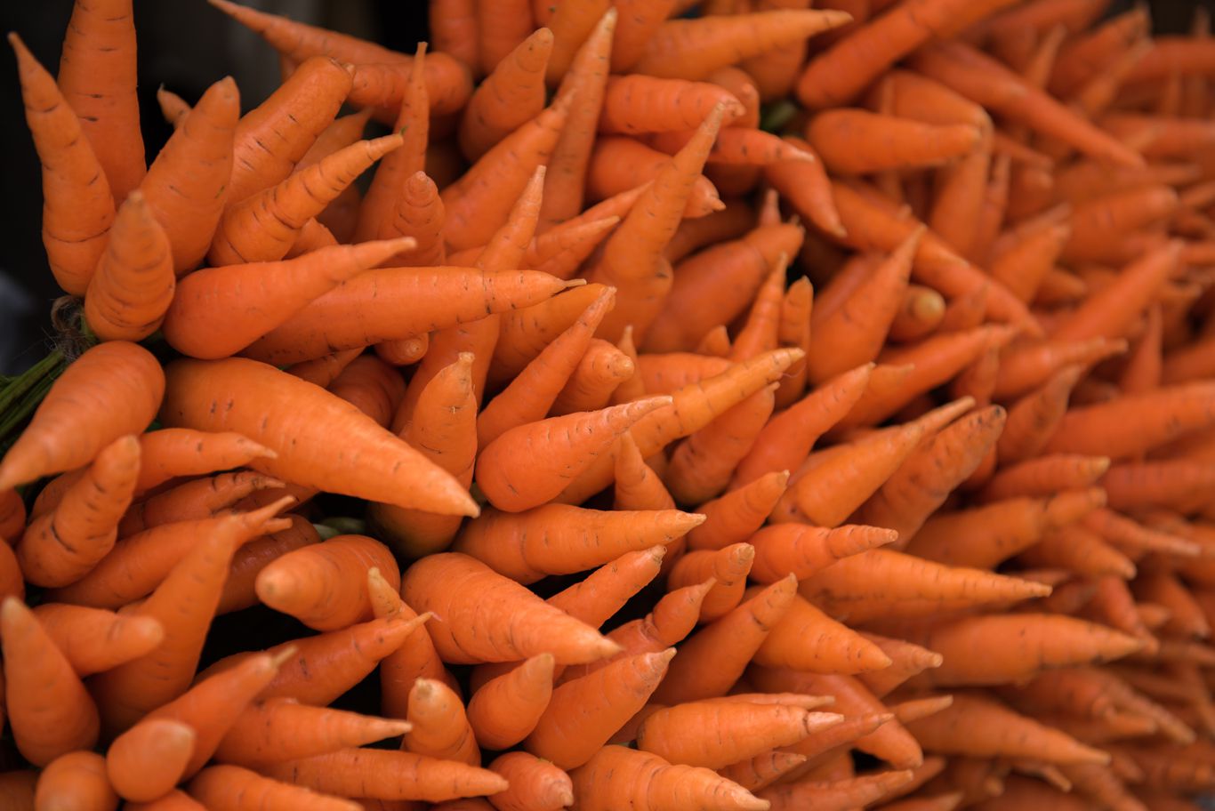 Carrots Sold in Market