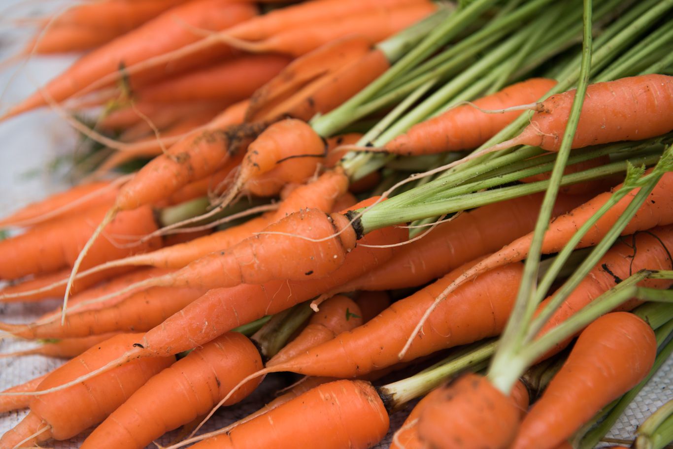 Carrots in Veg Market