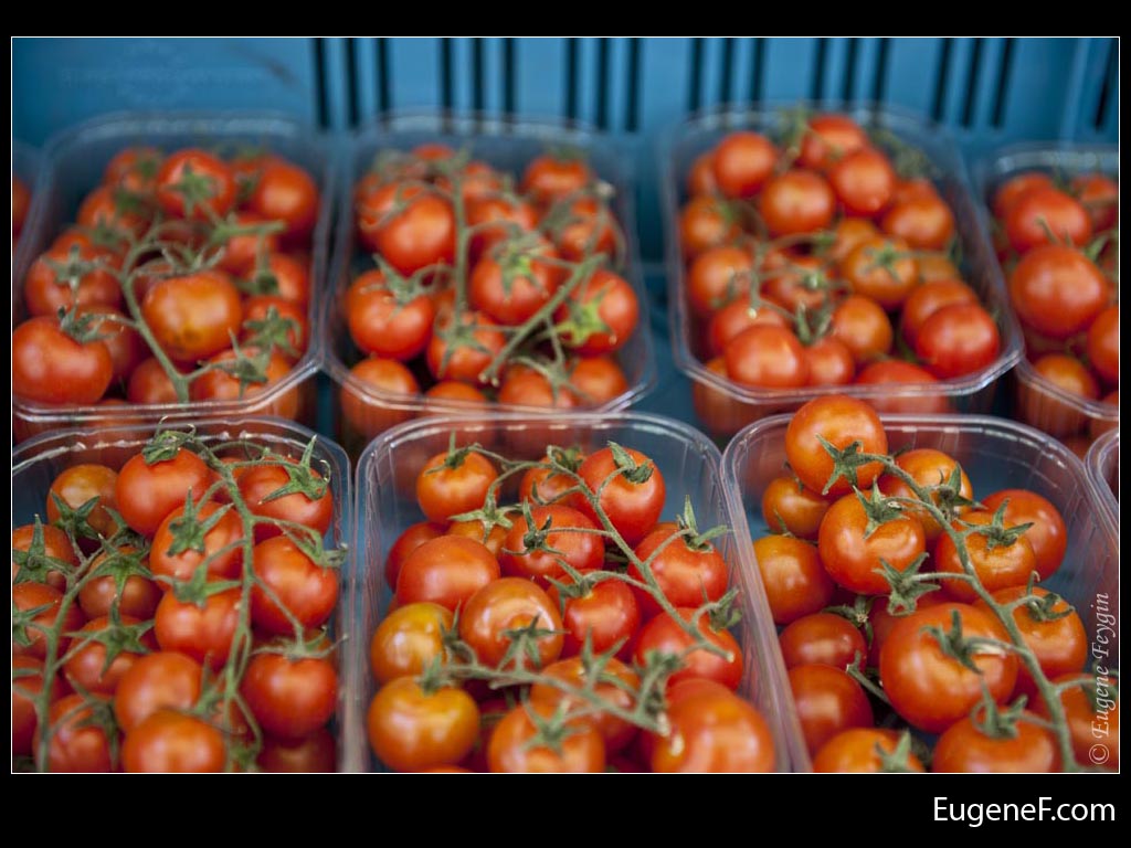 Freshly Stocked Tomatoes