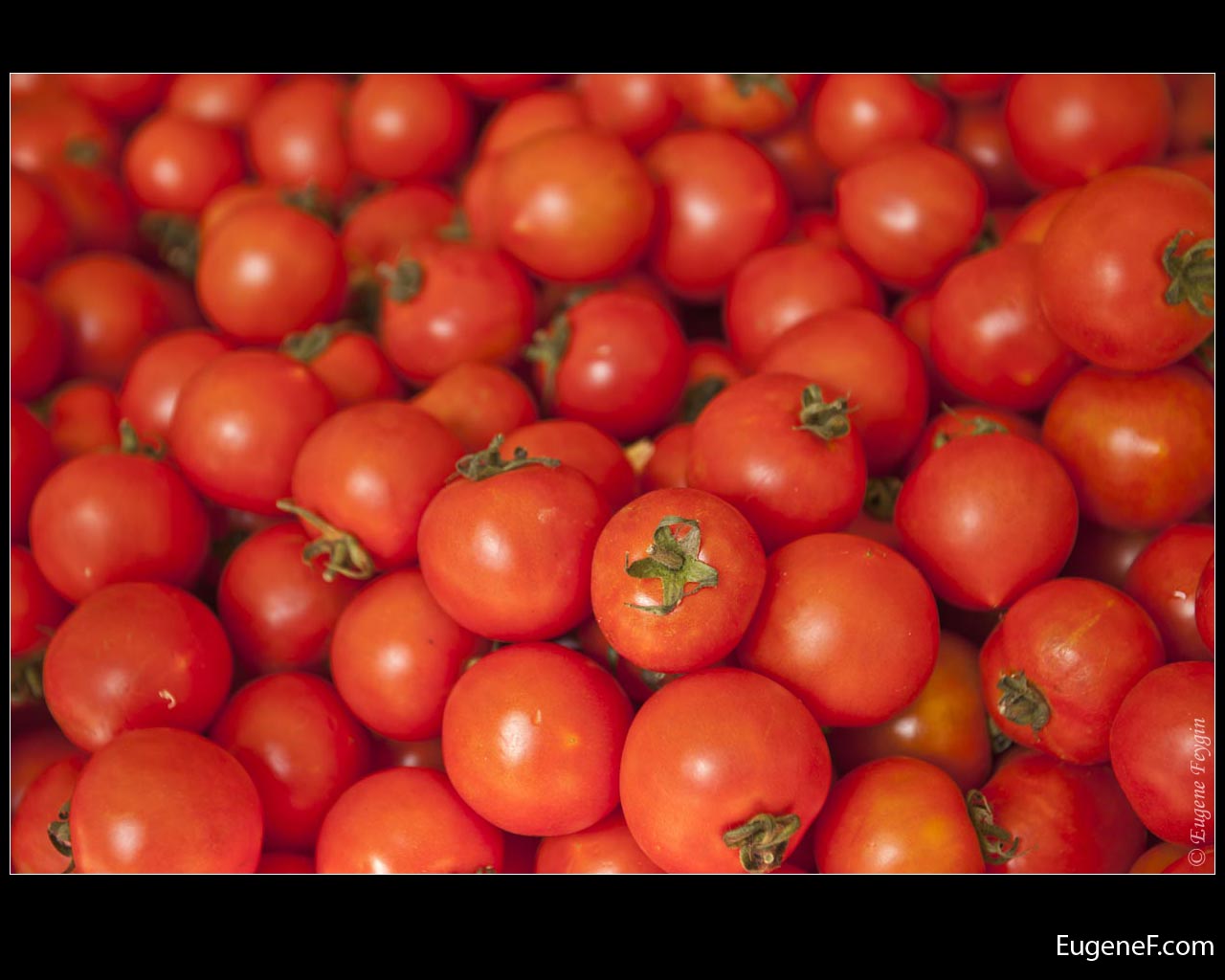 Tomato Vegetable