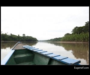 Puerto Maldonado Amazon 24