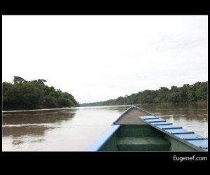 Puerto Maldonado Amazon 25