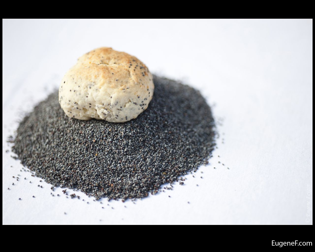 close up organic poppy seed cookie