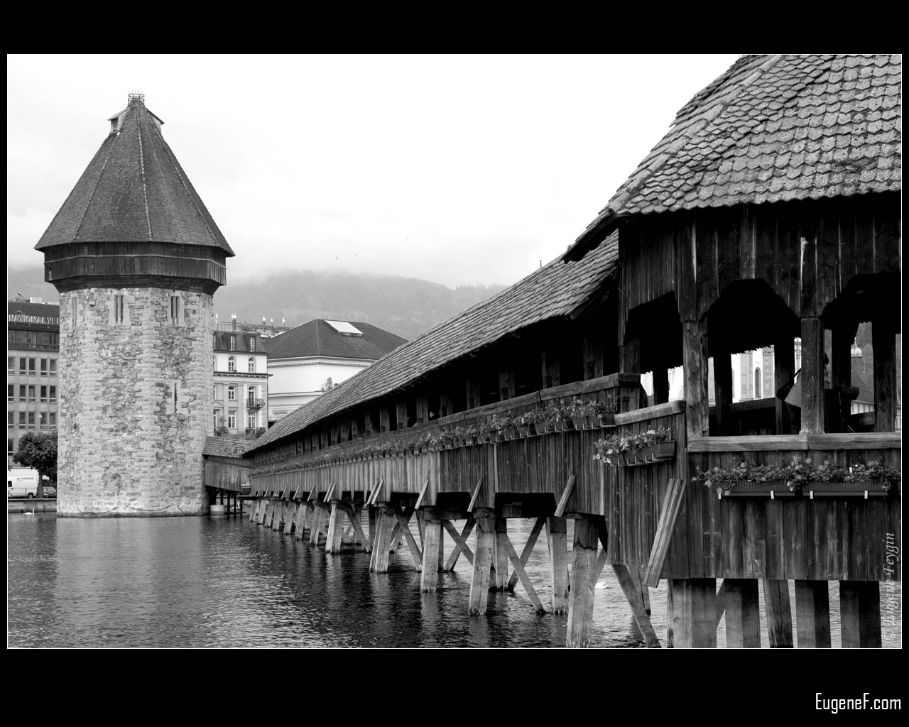 Swiss Bridge